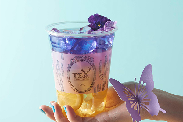 「ブルー ジャスミン ティー」