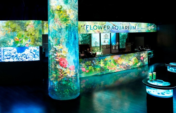 「フラワーアクアリウム バイ ネイキッド」水族館アクアパーク品川で開催、花が彩る海の世界を体験｜写真6