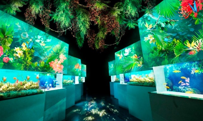 「フラワーアクアリウム バイ ネイキッド」水族館アクアパーク品川で開催、花が彩る海の世界を体験｜写真5