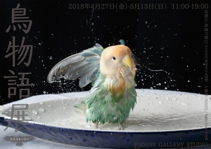 「鳥物語トリストーリー展」浅草橋・名古屋で開催、鳥たちの“一瞬の美しさ”がテーマの合同写真＆物販展｜写真38