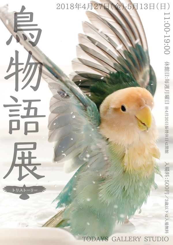 「鳥物語トリストーリー展」浅草橋・名古屋で開催、鳥たちの“一瞬の美しさ”がテーマの合同写真＆物販展｜写真37