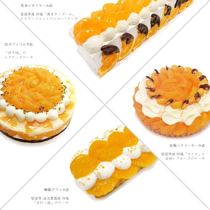 写真8 13 カフェコムサから オレンジの日 限定ケーキ 33店舗別 の個性溢れる柑橘スイーツ ファッションプレス