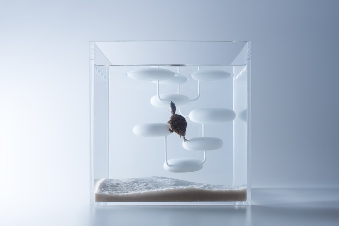 「すみだ水族館」"魚の習性"を引き出すユニークな水槽を展示、水中に球体や浮島を美しく配置｜写真3