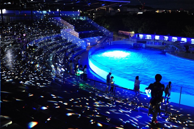 京都水族館「夜のすいぞくかん」イルカナイトパフォーマンスやすやすや眠るペンギン｜写真2