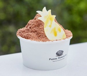 ＊Nyankyouダイ＊ No.A-28 アイスクリーム 販売 デザート 大きめ クラフトアイスクリーム(R) GIFTBOX 8個入(h5221028)｜フード