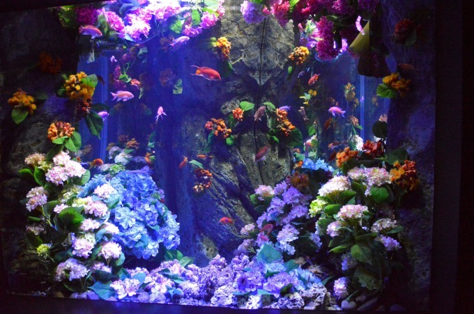 新江ノ島水族館