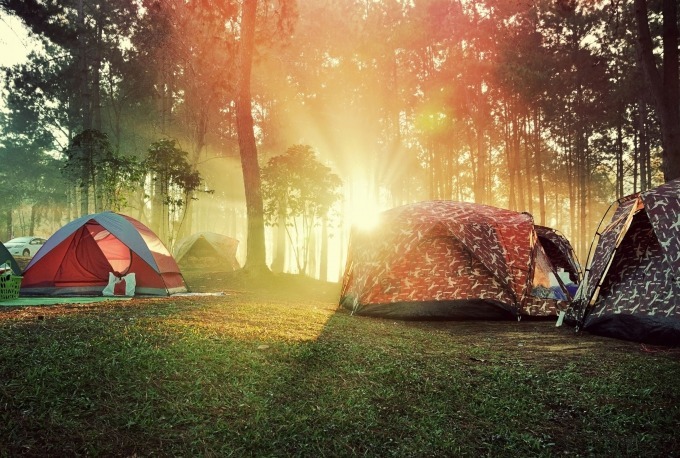 箱根・ポーラ美術館、敷地内の森で宿泊出来るキャンプイベント開催 - 夜の森で映画上映も｜写真1