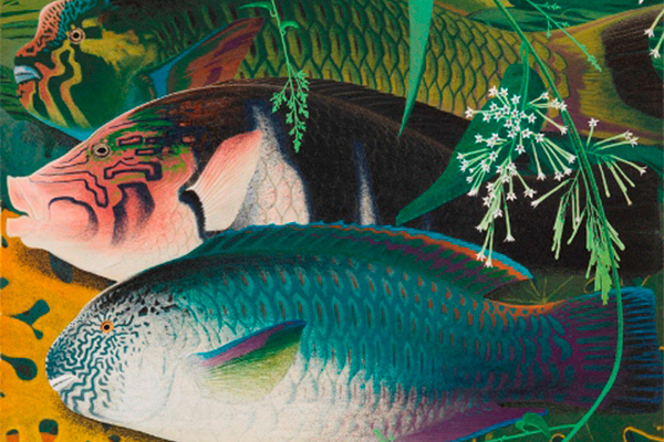 田中一村｜特別展「初公開  田中一村の絵画」岡田美術館で - 亜熱帯の生き物を描いた日本画、伊藤若冲の作品も