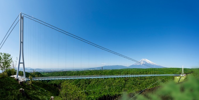 「夜空と交差する空の上映会」日本最長の吊橋・三島スカイウォークで、名作映画を夜景と共に｜写真2
