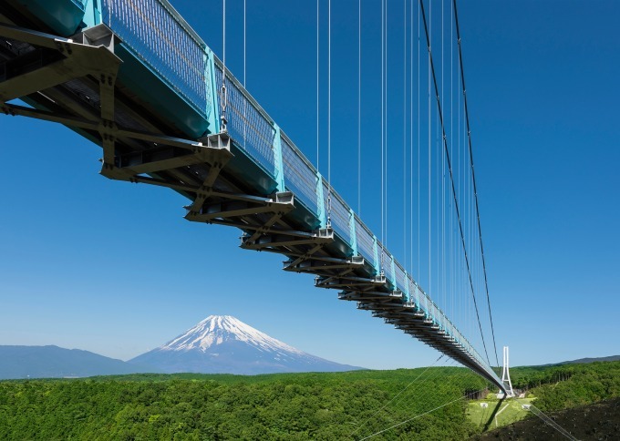 「夜空と交差する空の上映会」日本最長の吊橋・三島スカイウォークで、名作映画を夜景と共に｜写真3