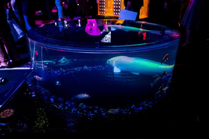 「アートアクアリウム2018」東京・名古屋で、8千匹の金魚が舞う水中アート - 新作"天井"金魚も｜写真33