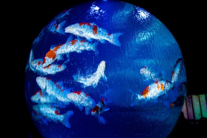 「アートアクアリウム2018」東京・名古屋で、8千匹の金魚が舞う水中アート - 新作"天井"金魚も｜写真27