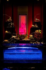 「アートアクアリウム2018」東京・名古屋で、8千匹の金魚が舞う水中アート - 新作"天井"金魚も｜写真39