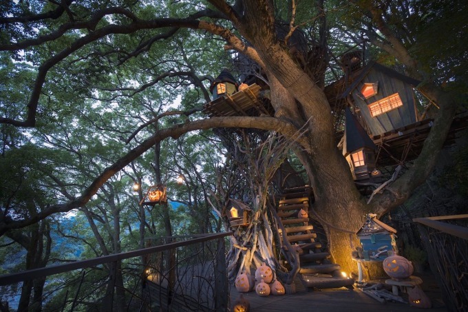 星野リゾート リゾナーレ熱海がハロウィンイベント 魔女の魔法レッスン を開催 くすの木ライトアップなど ファッションプレス