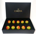 チョーヤ梅酒、希少な梅の実とフローズン梅のソーダを提供する限定ストアを表参道に｜写真4