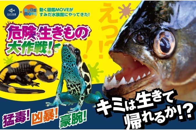 すみだ水族館「危険な生きもの大作戦！」