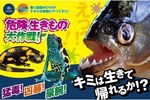 すみだ水族館「危険な生きもの大作戦！」、強力な毒を持つヤドクガエルなど全8種類を展示