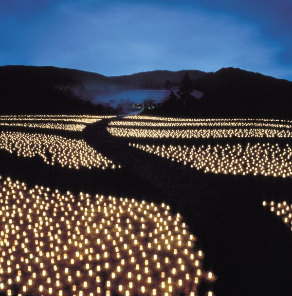 奈良の夏の風物詩「なら燈花会」春日大社や東大寺を1万本超のろうそくの灯りが包み込む｜写真9