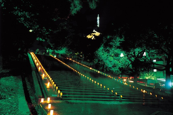 奈良の夏の風物詩「なら燈花会」春日大社や東大寺を1万本超のろうそくの灯りが包み込む｜写真4