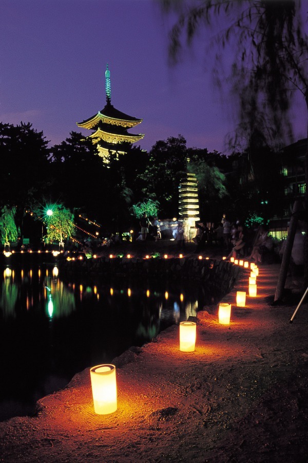 奈良の夏の風物詩「なら燈花会」春日大社や東大寺を1万本超のろうそくの灯りが包み込む｜写真5