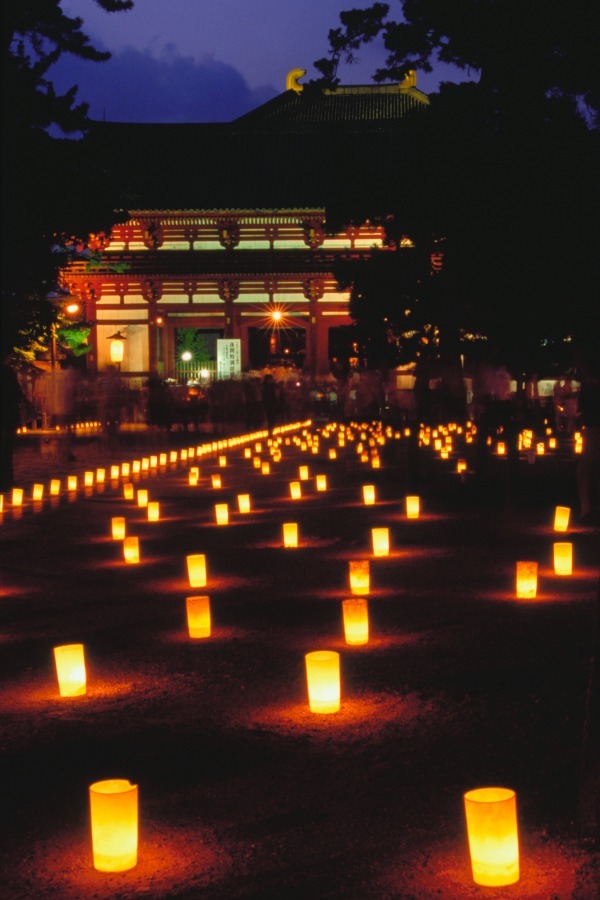 奈良の夏の風物詩「なら燈花会」春日大社や東大寺を1万本超のろうそくの灯りが包み込む | 写真