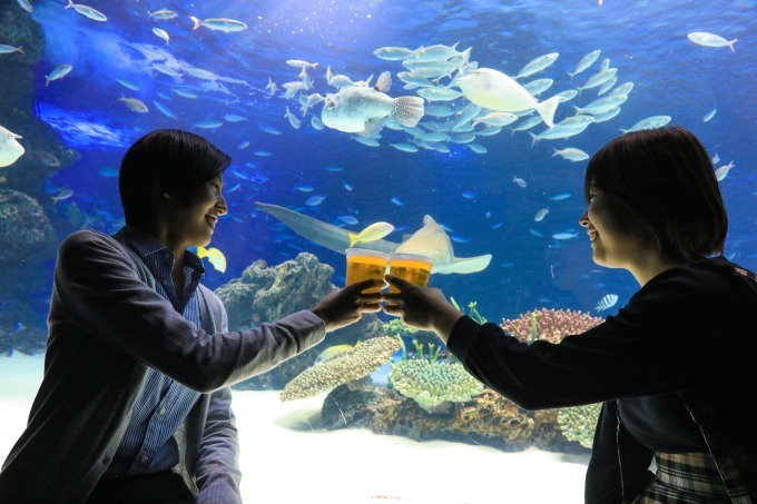 サンシャイン水族館にビアガーデン「天空酒場2018」ペンギンとお酒を｜写真1