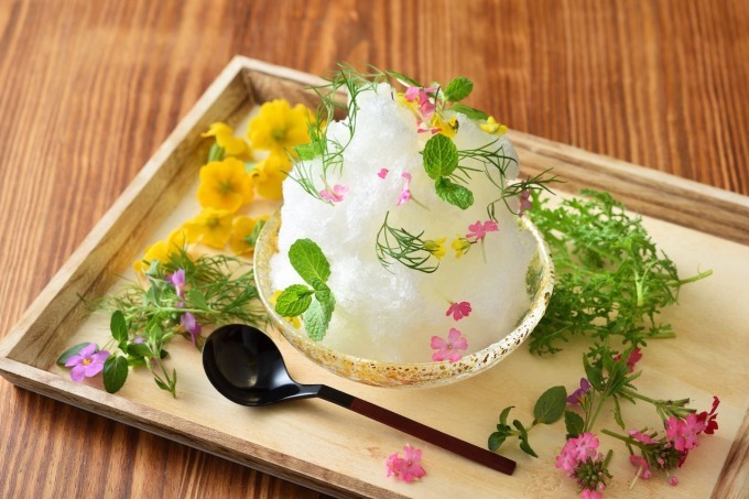 ご当地グルメ｜星野リゾート「界」のご当地かき氷、トマトや甘酒など地域の特産物やエルダーフラワーで