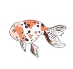 京都水族館「WOW！金魚あそび」金魚が妖精のように泳ぐ水槽や金魚鉢ドリンクなど｜写真3