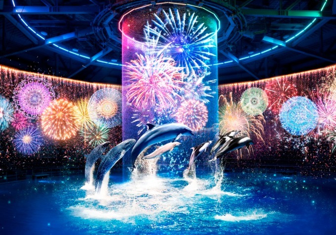 「花火アクアリウム バイ ネイキッド」水族館アクアパーク品川で、花火が彩る夜のイルカショー｜写真1