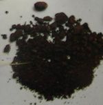 「におい展」静岡・札幌・福岡で - 嗅覚で楽しむ展覧会、世界一臭い食べ物から最高級の香料まで｜写真3