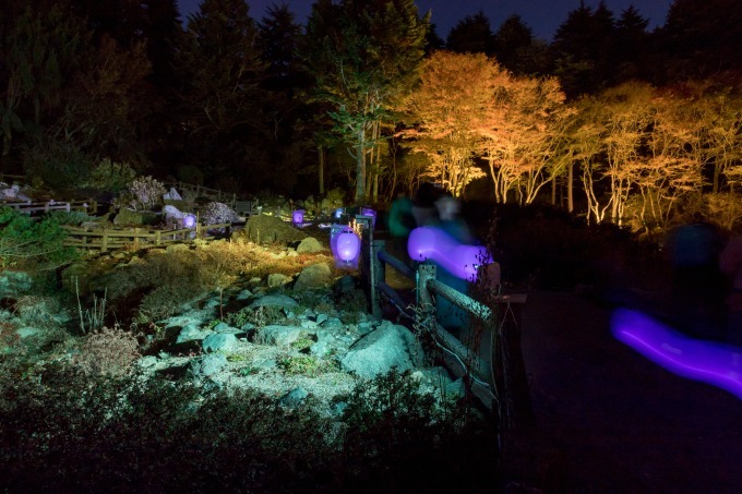 「夜の紅葉散策」を六甲高山植物園で開催 - 夜の園内で紅葉とアート作品をライトアップ｜写真2