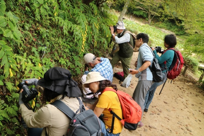 「夜の紅葉散策」を六甲高山植物園で開催 - 夜の園内で紅葉とアート作品をライトアップ｜写真4