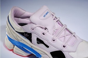 adidas rafsimons ozweego ラフシモンズ コラボ 限定