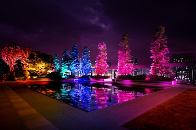 チームラボのデジタルアート「呼応する木々」ギンザ シックス屋上庭園に、光と音が連なる幻想空間｜写真1