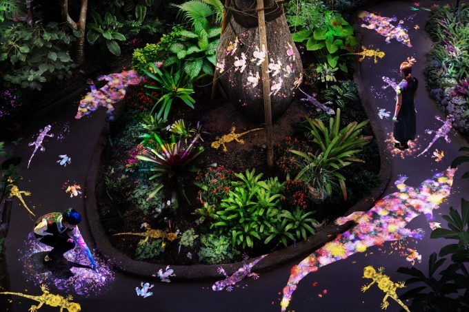 写真2 3 チームラボのデジタルアート 夜の植物館に光の動物たちが出現 山口 ときわミュージアムで ファッションプレス 写真2 3 チームラボのデジタルアート 夜の植物館に光の動物たちが出現 山口 ときわミュージアムで ファッションプレス