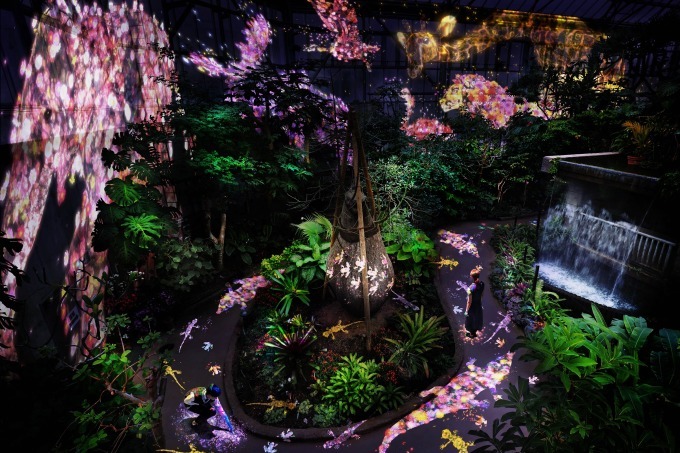 博物館｜チームラボのデジタルアート、夜の植物館に光の動物たちが出現 - 山口・ときわミュージアムで