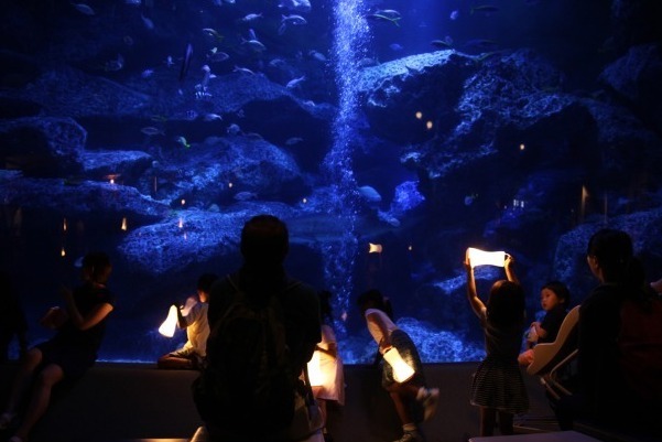 すみだ水族館「なつとほたるとすいぞくかん」