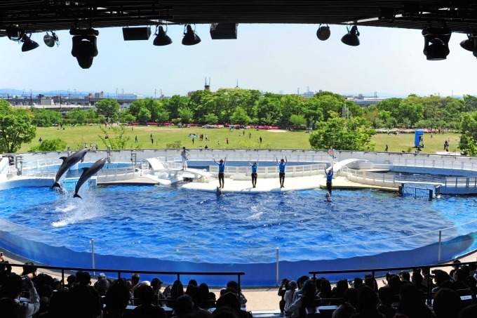 京都水族館の劇場型イルカパフォーマンス「ラ・ラ・フィン サーカス」エイベックスが企画・制作｜写真1