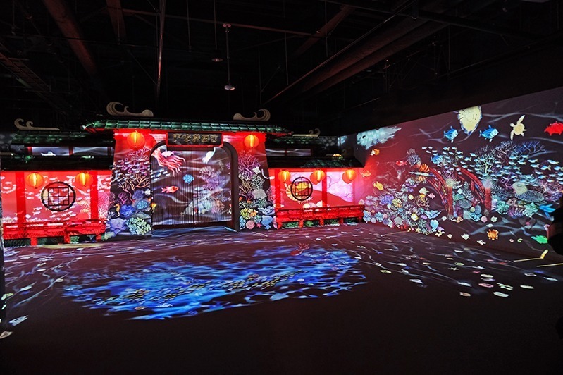 四国最大級の水族館「四国水族館」香川・宇多津町にオープン、瀬戸内海を望むイルカショーやサメ水槽など｜写真14