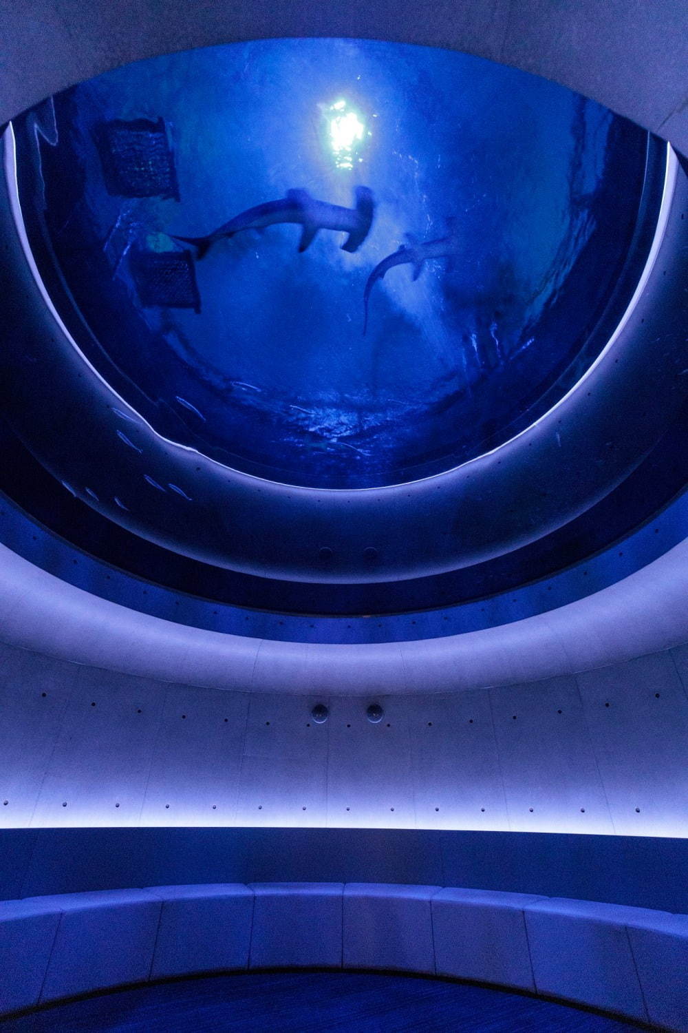 神無月の景(夜)