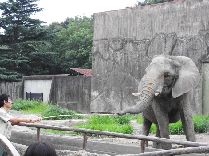 東武動物公園の夜間イベント「サマーナイトZOO」夜の乗馬体験＆蛍鑑賞、花火と共に楽しむビールも