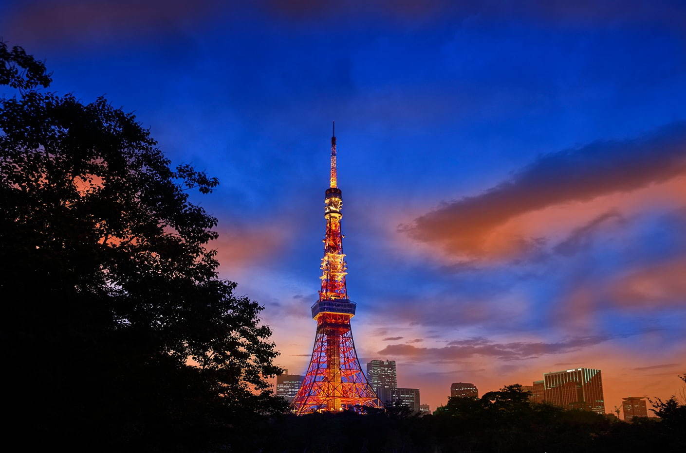 「スズムシ カフェ」鈴虫の音色を聞きながら“夕涼み”体験、ザ・プリンス パークタワー東京で｜写真5