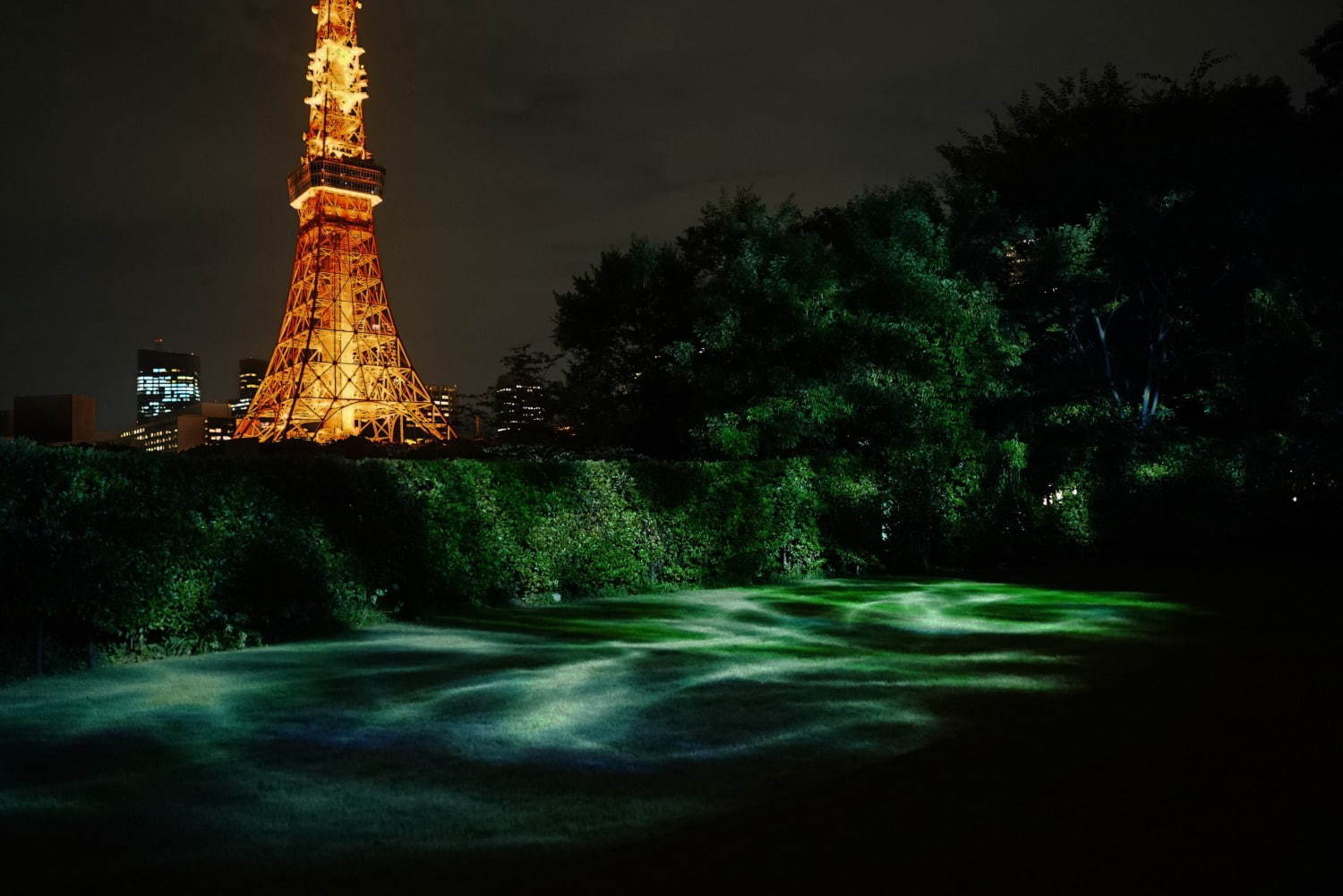 「スズムシ カフェ」鈴虫の音色を聞きながら“夕涼み”体験、ザ・プリンス パークタワー東京で｜写真8