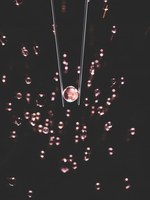 ディオール(DIOR) セラム ド ローズ ユー｜写真6