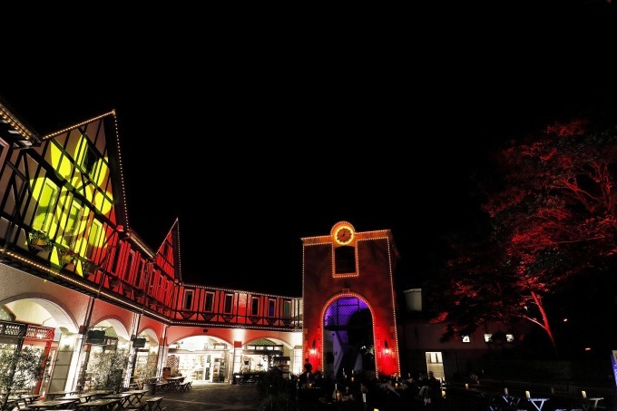 「神戸布引ハーブ園」の夏イルミネーション、光と音が織りなす神秘的な自然空間｜写真3