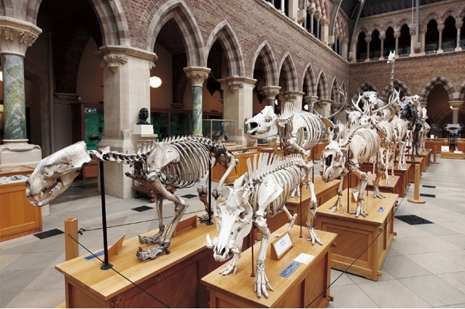 博物館｜書籍『世界の美しい博物館』世界中から集めた驚きの自然史博物館や科学博物館など