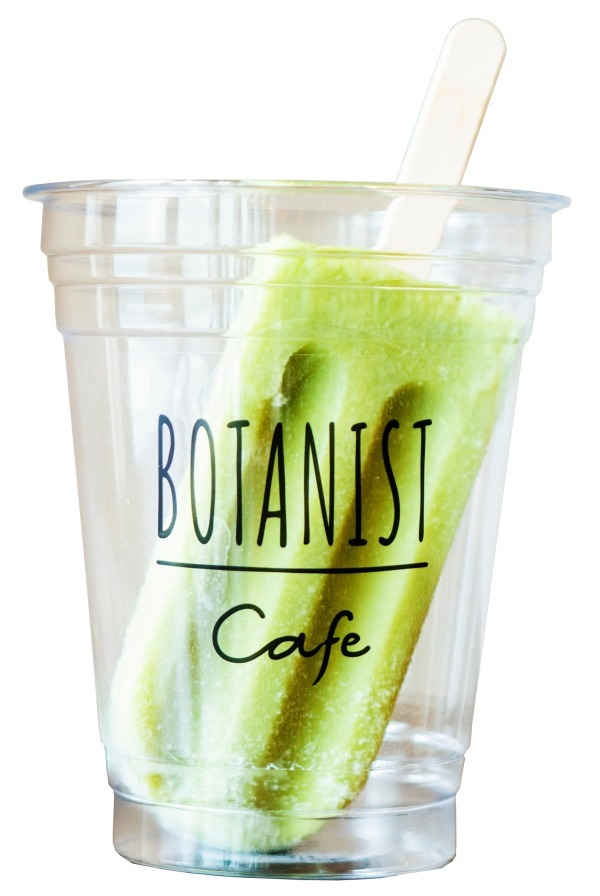 ボタニスト(BOTANIST) BOTA POPS｜写真4