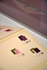 まとふ(matohu) matohu 日本の眼　日常にひそむ美を見つける｜写真22