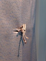 まとふ(matohu) matohu 日本の眼　日常にひそむ美を見つける｜写真38