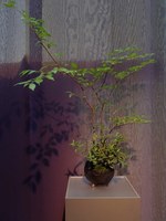 まとふ(matohu) matohu 日本の眼　日常にひそむ美を見つける｜写真40